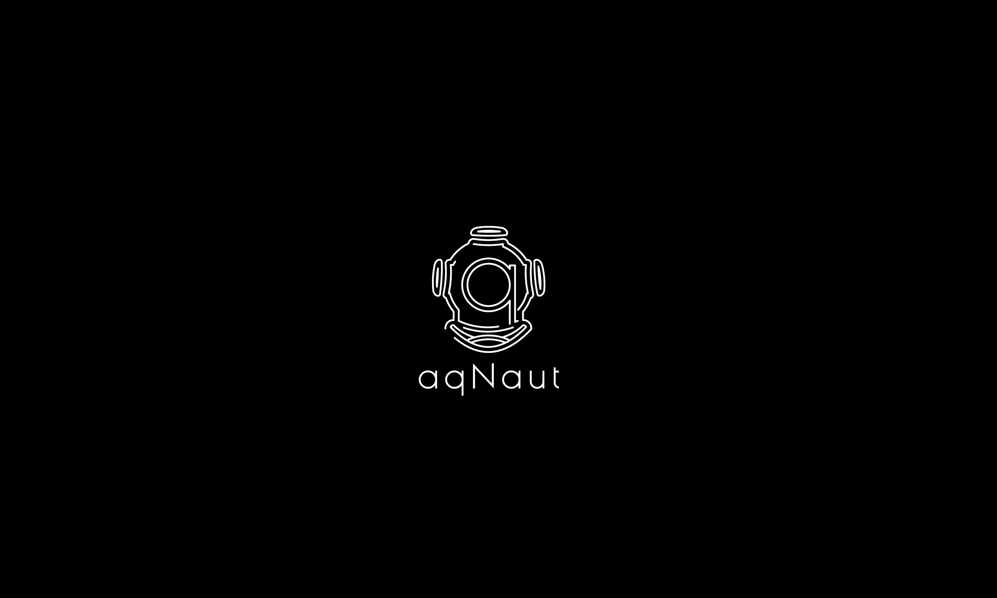 aqNaut logo